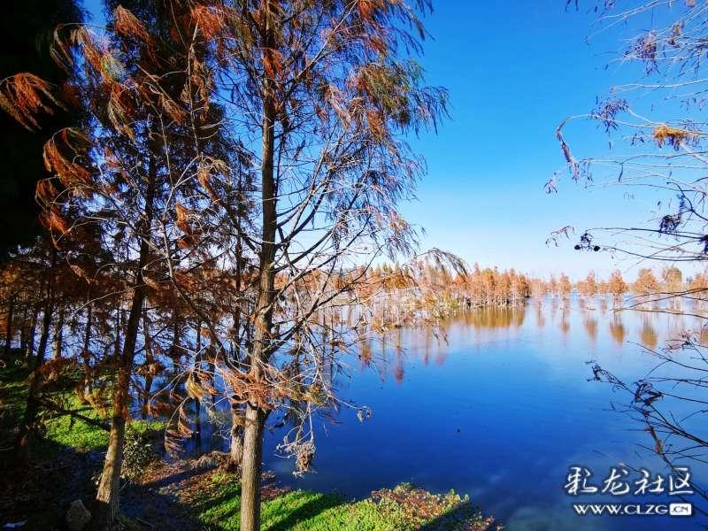 镇远:迎春节备灯会 群众扎龙灯忙